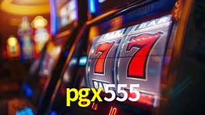Login Seguro pgx555